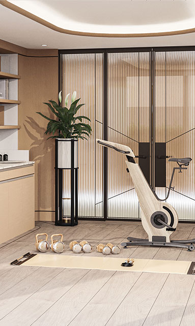 Penthouse gym area